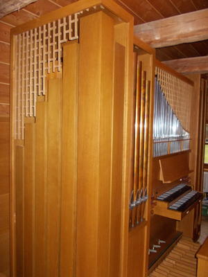 Schwan 9/II+P