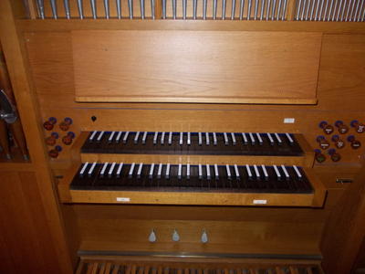 Schwan 9/II+P