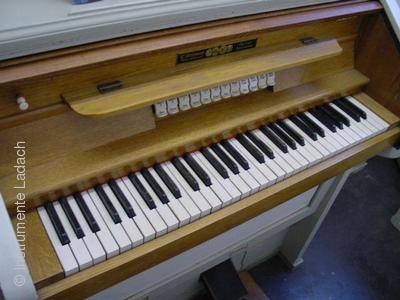 Steinmann 6/I