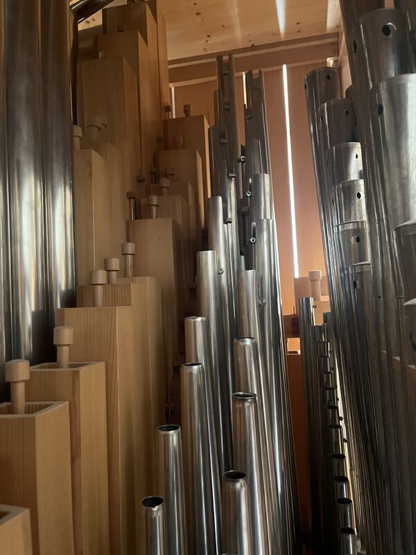 Mitteldeutscher Orgelbau 10/II+P