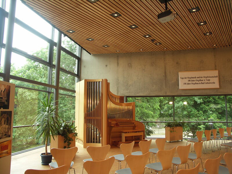 Mitteldeutscher Orgelbau 10/II+P