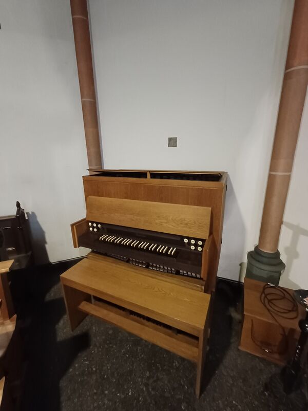 Steinmann 5/I+P