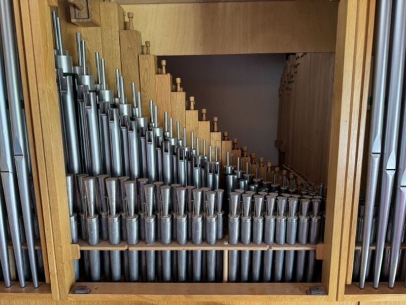 Hofbauer 10/II+P