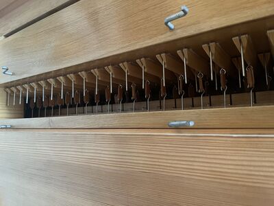 Mitteldeutscher Orgelbau 10/II+P