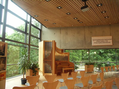 Mitteldeutscher Orgelbau 10/II+P