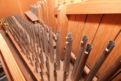 Förster&Nicolaus 5/I+P