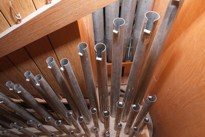 Förster&Nicolaus 5/I+P