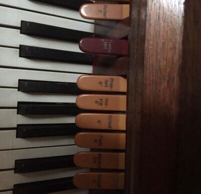 Dekker Multiplex 6/I