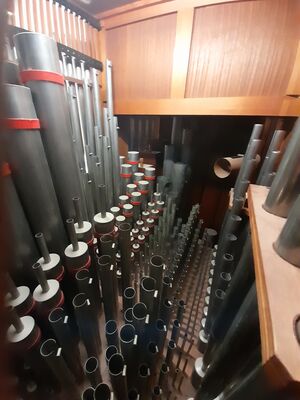 Pels & Van Leeuwen 23/II+P