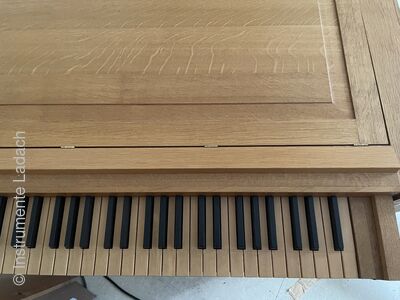 Truhenorgel Berghöfer 2/I