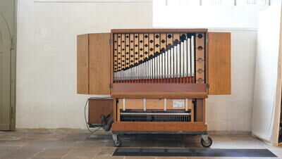 Steinmann 5/I+P
