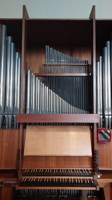 Rieger 11/II+P
