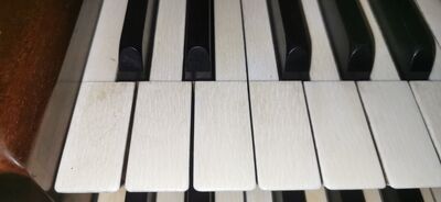 Stevens 12/II+P